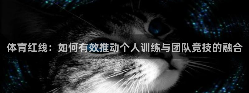 哈哈体育十年：体育红线：如何有效推动个人训练与团队竞技的融合
