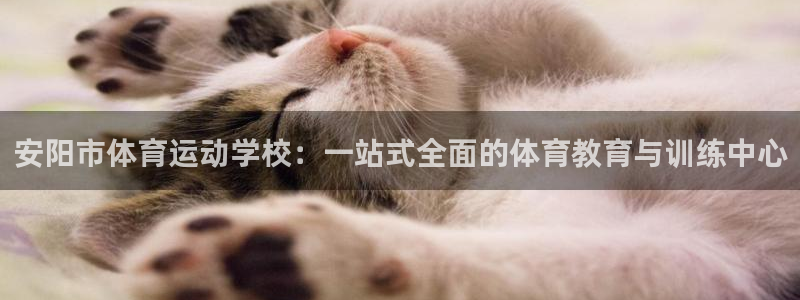 哈哈体育十年：安阳市体育运动学校：一站式全面的体育教育与训练中心