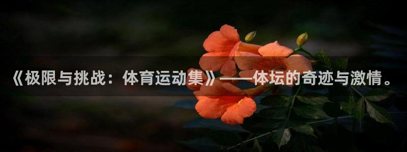 哈哈体育：《极限与挑战：体育运动集》——体坛的奇迹与激情。