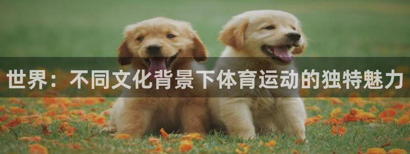 哈哈体育下载：世界：不同文化背景下体育运动的独特魅力