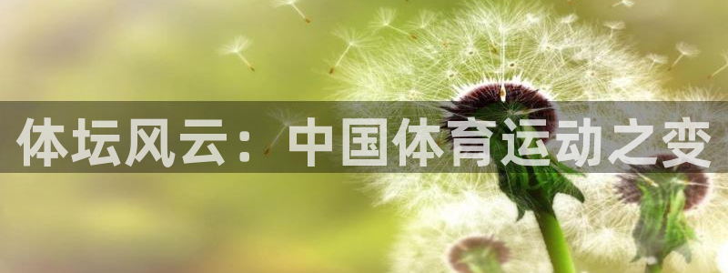 哈哈体育十年：体坛风云：中国体育运动之变