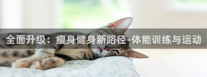 哈哈体育：全面升级：瘦身健身新路径-体能训练与运动