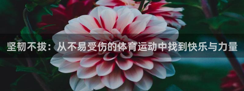 哈哈体育下载：坚韧不拔：从不易受伤的体育运动中找到快乐与力量