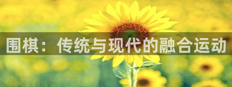 哈哈体育下载：围棋：传统与现代的融合运动