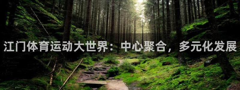 哈哈体育下载：江门体育运动大世界：中心聚合，多元化发展
